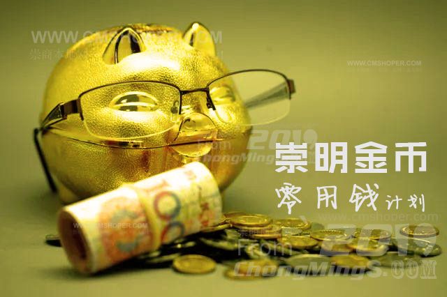 崇明金幣零用錢100元