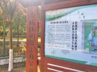 上海崇明島建設鎮健康主題公園